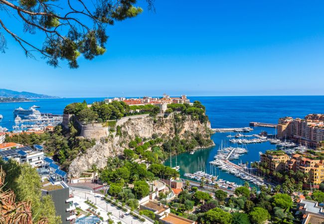 Frühlingserwachen an der Côte d'Azur